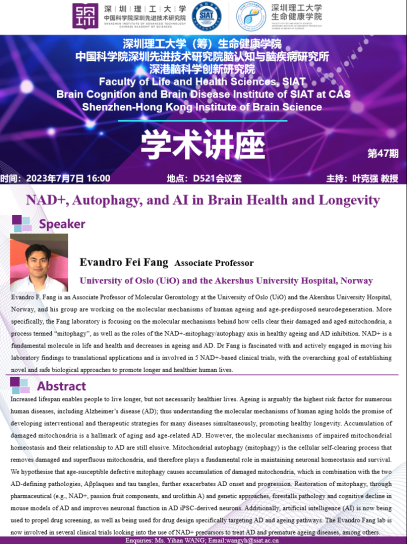 NAD+, Autophagy, and AI in Brain Health and Longevity